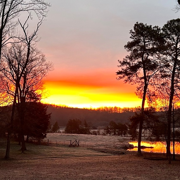 Meet your Posher, Nic B - Picture 1 of 1